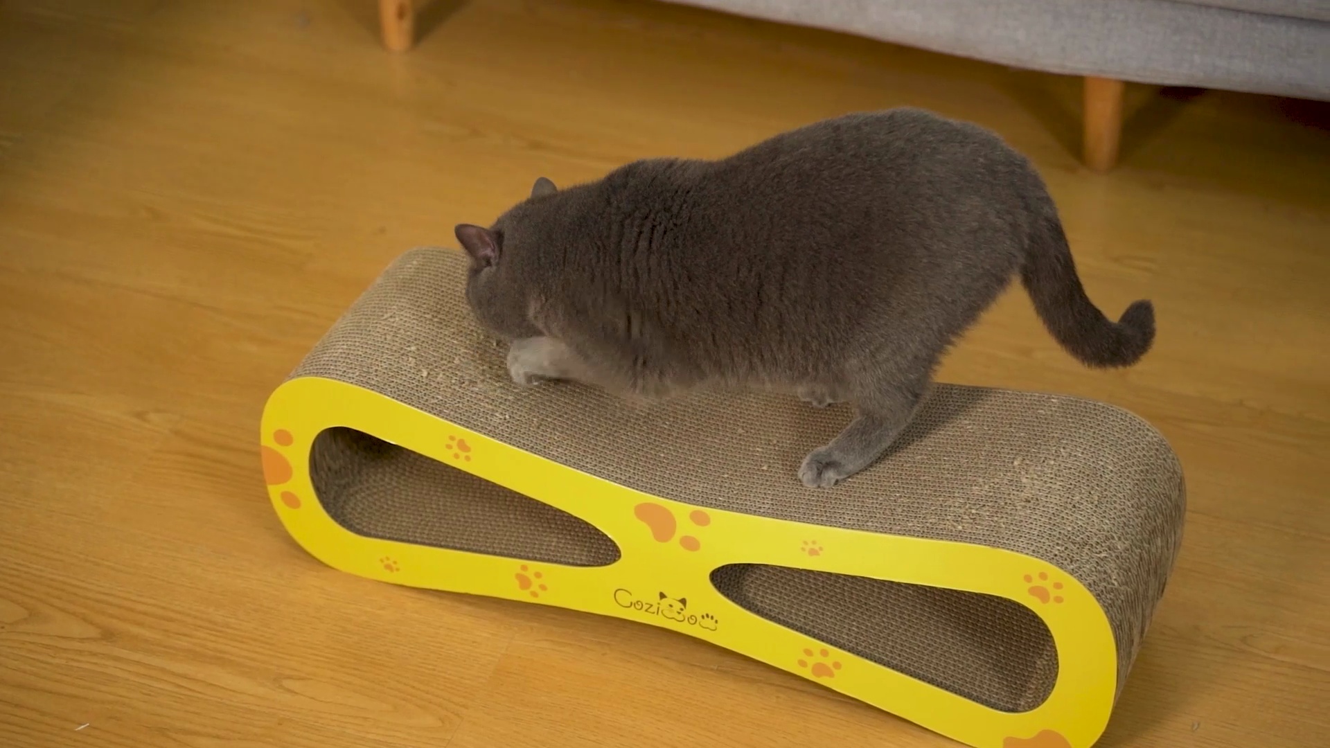 COZIWOW Wave Cat Scratcher Lounge Toy with Catnip, White - Chewy.com