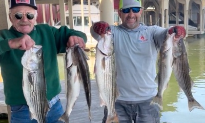 Bethel Island Report Video 4