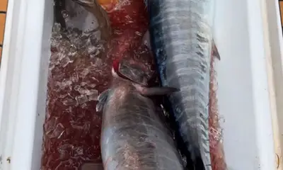 Key Largo Report Video 1