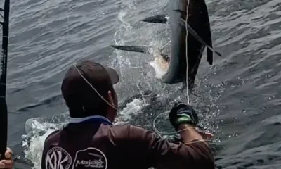 San Carlos Report Video 0