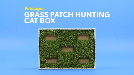 Play Video: Learn More About Petstages From Our Team of Experts