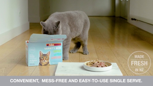 Play Video: Learn More About Feline Natural From Our Team of Experts
