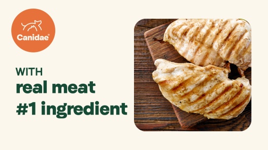 CANIDAE All Life Stages Real Salmon & Ancient Grains Recipe Dry Dog Food