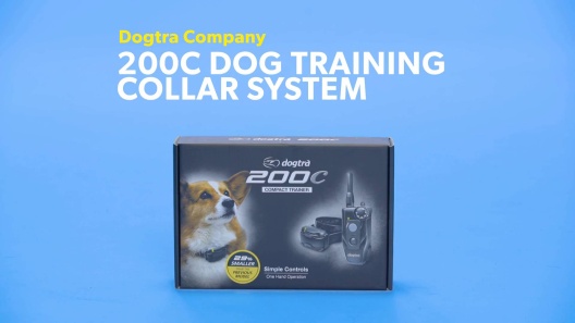 Play Video: Learn More About Dogtra From Our Team of Experts