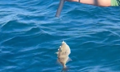 Panama City Beach Report Video 0