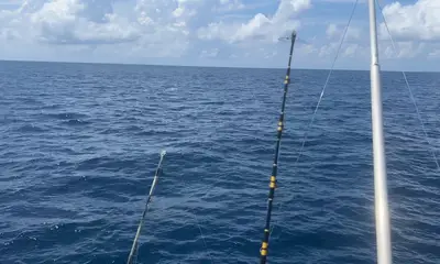 Dominicus Report Video 0