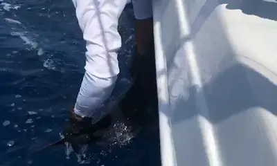 Herradura Report Video 0