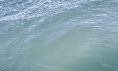 Connecticut Report Video 2