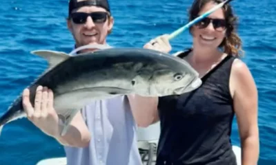 San Jose del Cabo Report Video 0