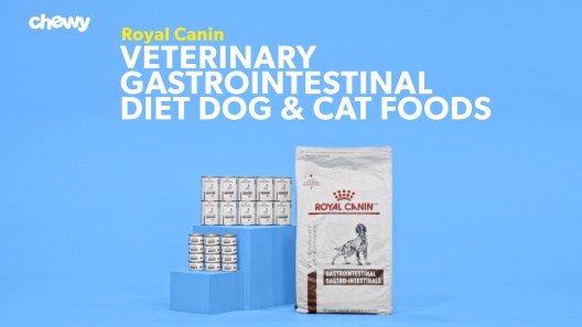 Play Video: Learn More About Royal Canin Veterinary Diet From Our Team of Experts