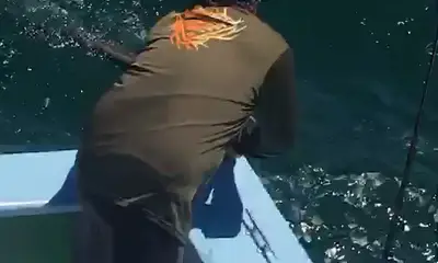 Orange Beach Report Video 0