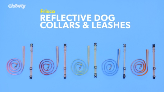 Play Video: Learn More About Frisco From Our Team of Experts