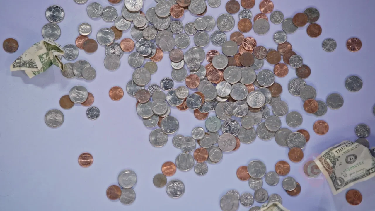 Money: Combinations of Bills & Coins Video for Kids