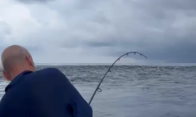 D\u00eda completo en altamar