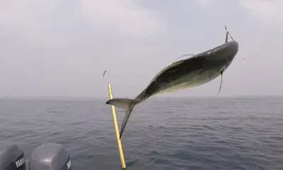 Panama City Report Video 0