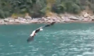 Fantastic Experience 