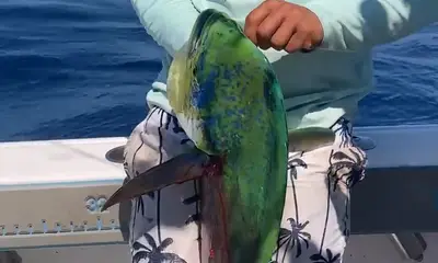 2025 Men’s Son-in-Law Fishing Excursion – A Legendary Outing