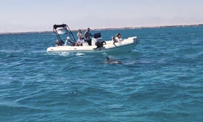 Great and entertaining captain, immaculate boat, clean and comfortable, powerful motors.