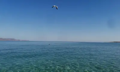 La Paz Report Video 0