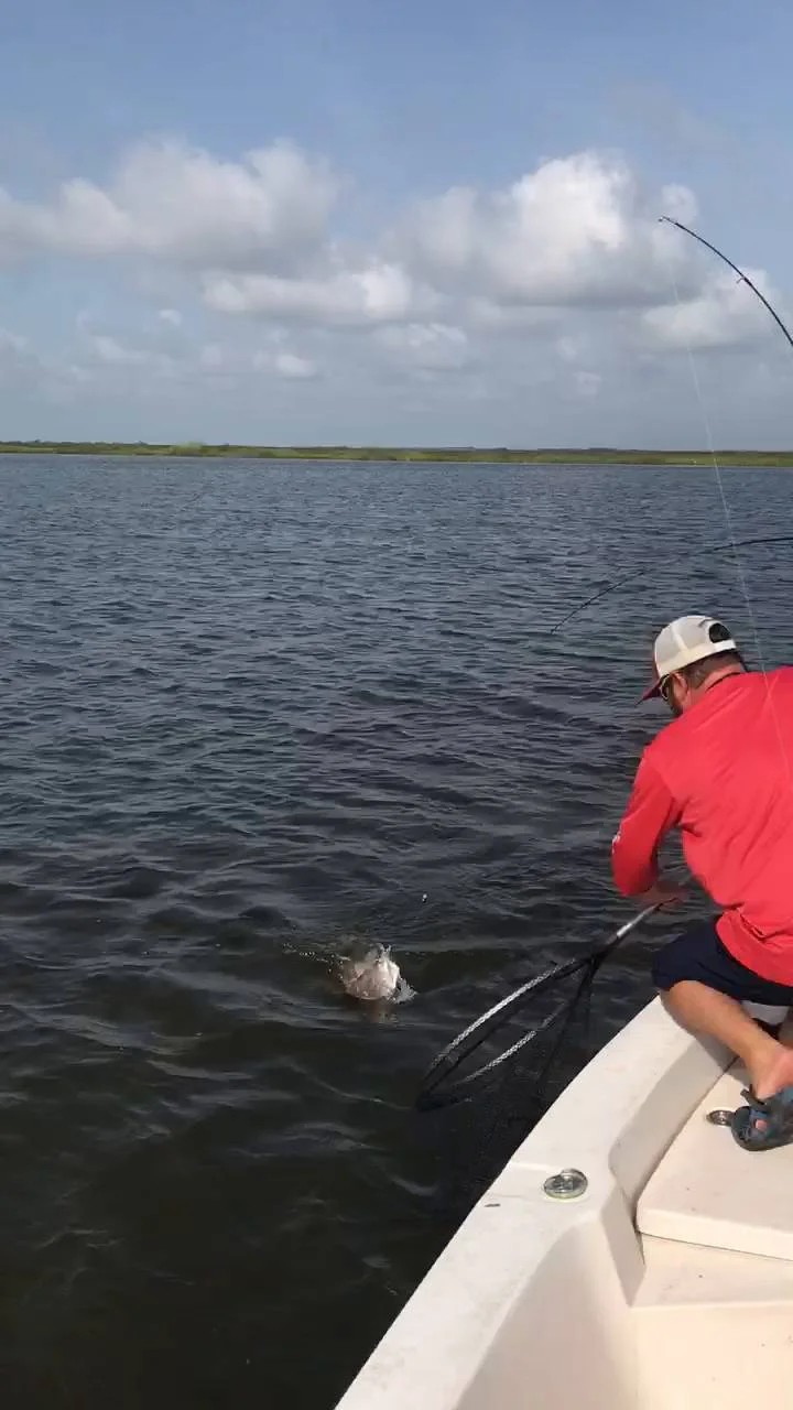 Business Card: Bayou Obsession Charters