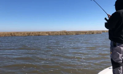 New Orleans Report Video 0