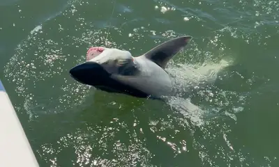 Beautiful Day On The Water!! 
