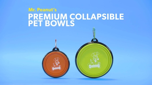 Mr. Peanut's Silicone Slow Feeder Dog Bowl Small