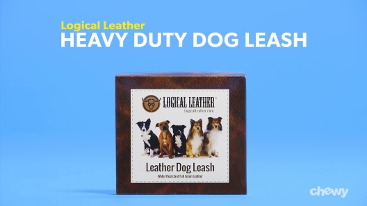 Play Video: Learn More About Logical Leather From Our Team of Experts