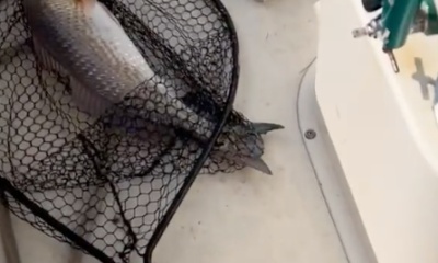 Houston Report Video 0