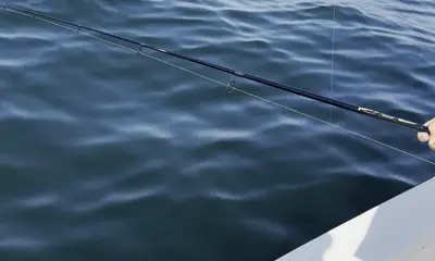 great catch and kids loved it!