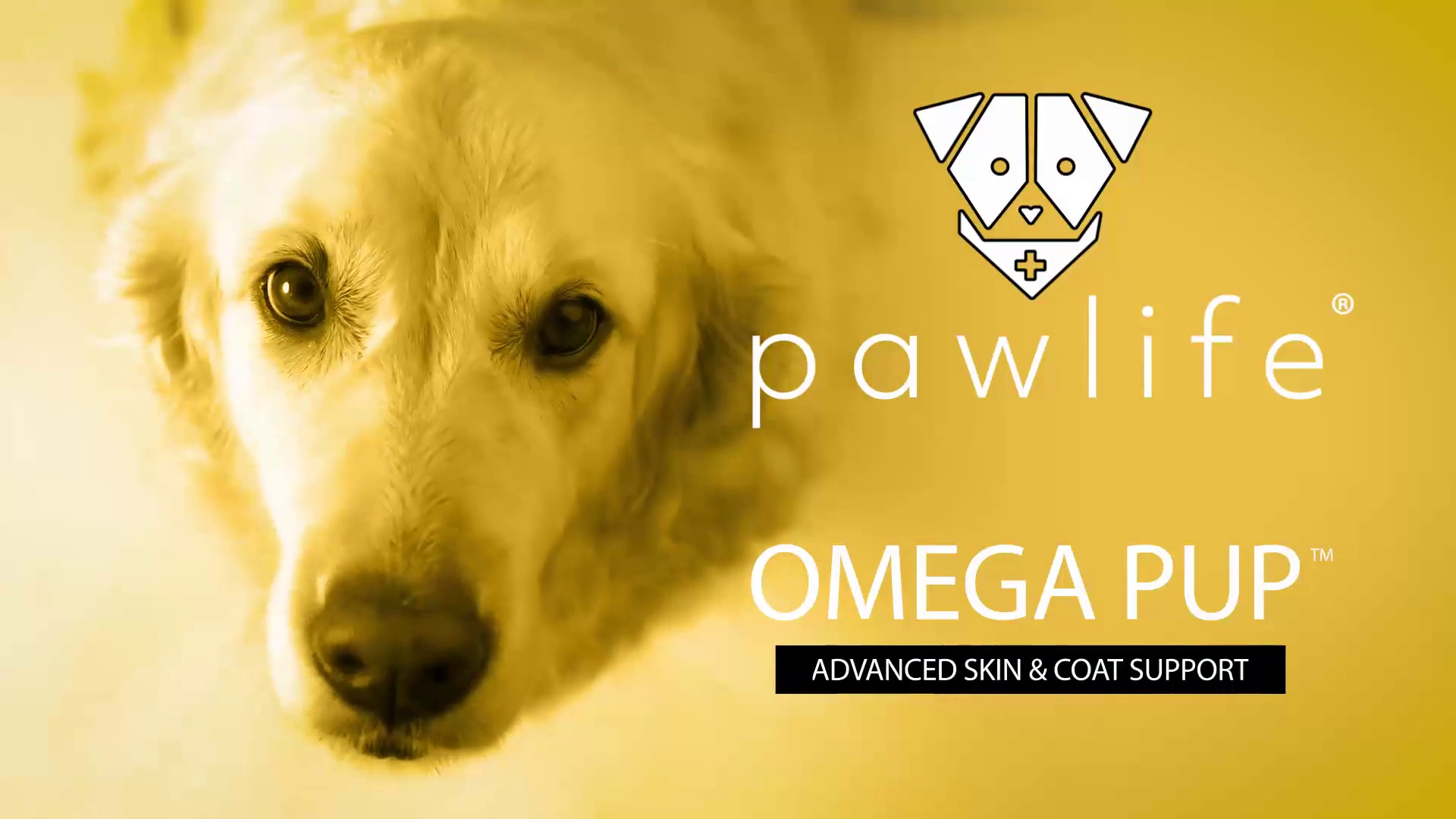 Pawlife calm outlet pup reviews