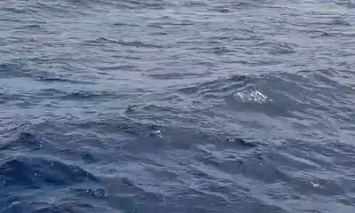 Cabo San Lucas Report Video 1