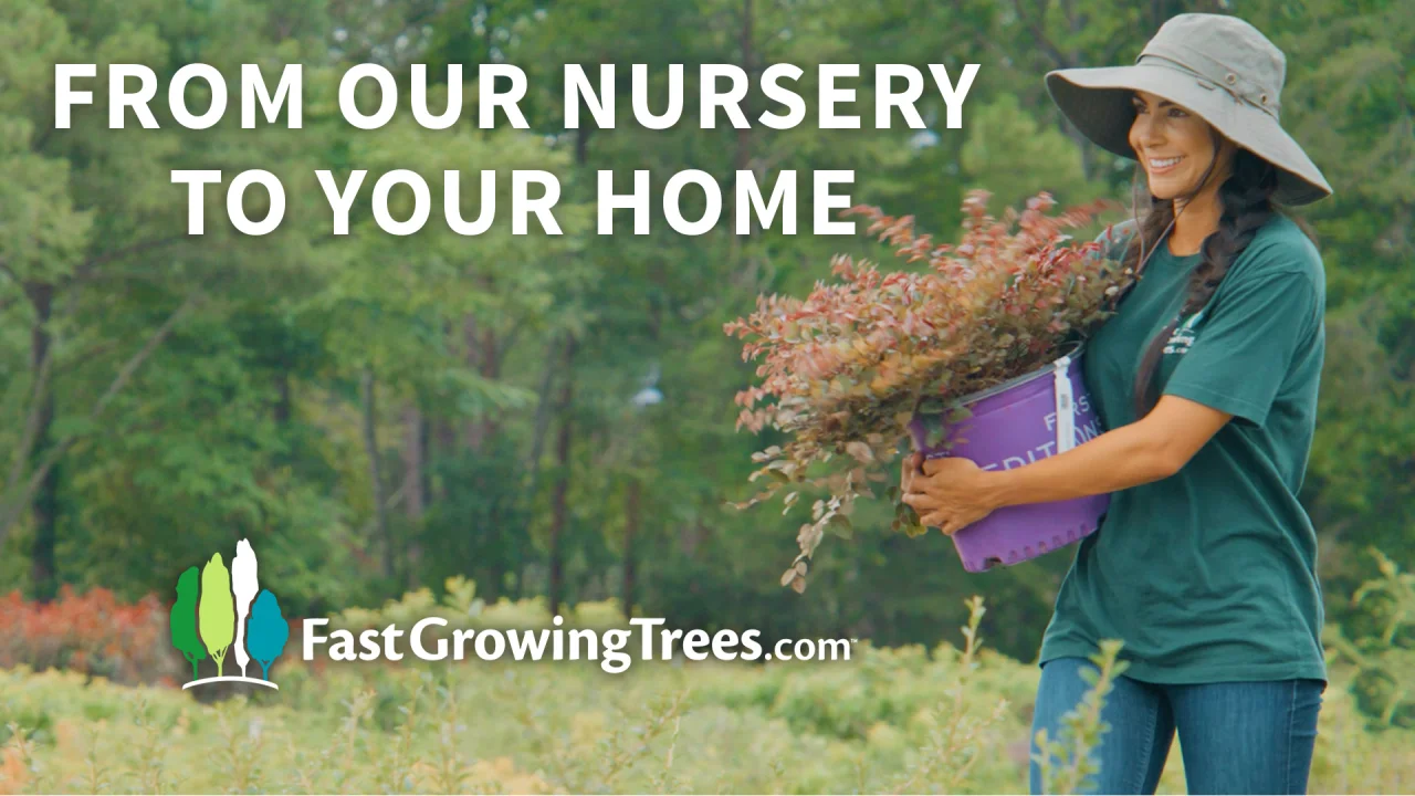 FastGrowingTrees.com Nursery