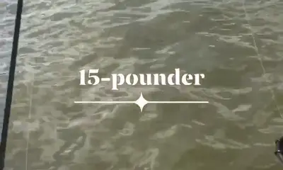 Port Clinton Report Video 0