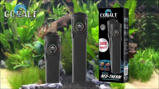 Play Video: Learn More About Cobalt Aquatics From Our Team of Experts