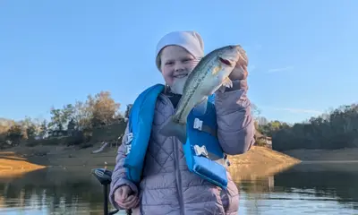 Dandridge Verslag Video 0