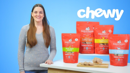 Play Video: Learn More About Stella & Chewy's From Our Team of Experts