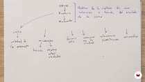 Lesson image