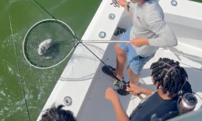 Biloxi Report Video 0