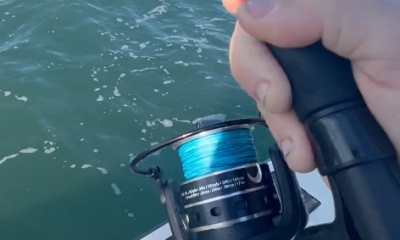 Island Park Report Video 1