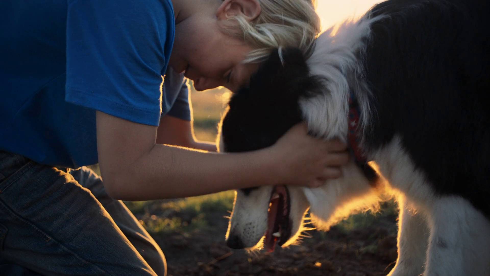 instinct original dry dog food