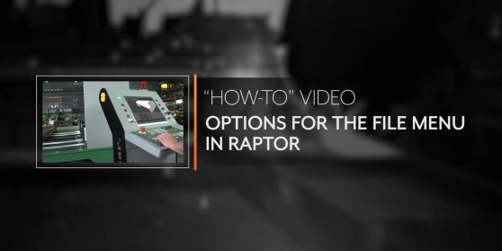 File Menu Options in Raptor File Menu Options in Raptor