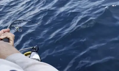 Paquera Report Video 0