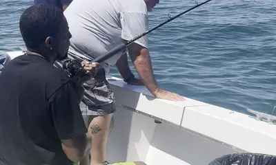 Wildwood Видео отчет 0