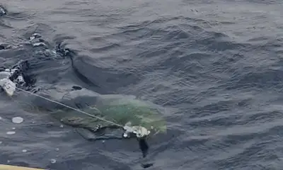 Panama City Report Video 2