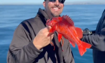 San Diego Report Video 0