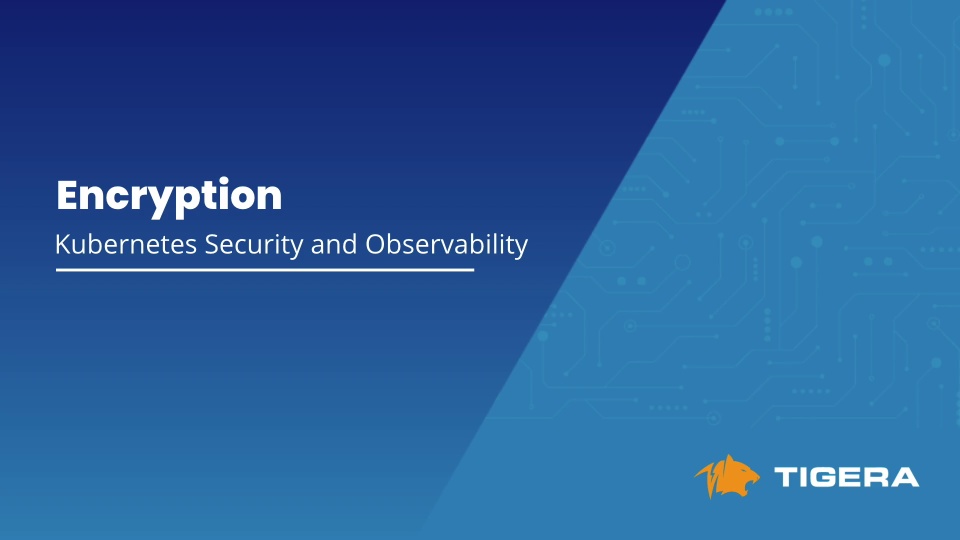EncryptionShort