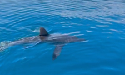 Full day with Tommy and his crew