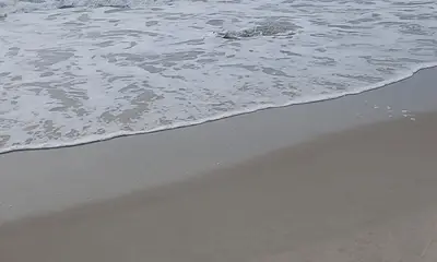 Kure Beach Report Video 1