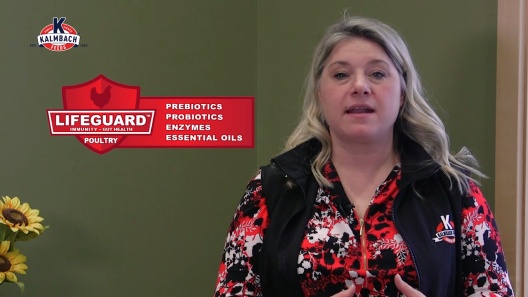 Play Video: Learn More About Kalmbach Feeds From Our Team of Experts